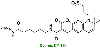 Bio-Synthesis Inc. Oligo Structure